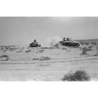 Un semi-chenillé Sdkfz-250/3 et un Daimler Scout Car roulent en provoquant un nuage de poussière.