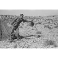 Activités dans un campement de la 21 Panzer Division (21-Pz.Div.) au repos.