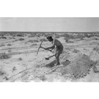 Durant la bataille d'El Alamein, la préparation de positions défensives dans le désert.