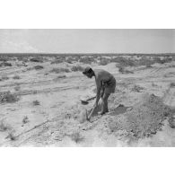 Durant la bataille d'El Alamein, la préparation de positions défensives dans le désert.