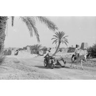 Un side-car de la Luftwaffe, immatriculé WL-SP-0204, dans le secteur dans la ville de Siwa.