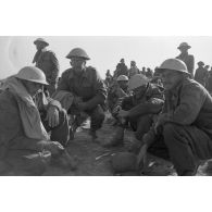 Rassemblement de prisonniers du Commonwealth, certainement issus de l'armée néo-zélandaise.