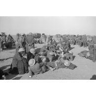 Rassemblement de prisonniers du Commonwealth, certainement issus de l'armée néo-zélandaise.