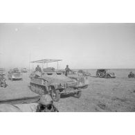 La progression d'une colonne blindée de la 15.Panzer-Division, en tête un semi-chenillé Sd.kfz.251/3.