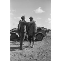 Discussion entre un officier d'état-major de la 15.Panzer-Division et une estafette italienne (motocycliste).