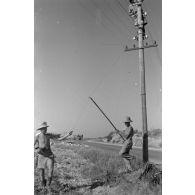 Installations de lignes téléphoniques.