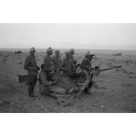 Une pièce de 2 cm FlaK et ses servants positionnés en protection d'une batterie de canons de 15 cm.