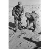 Pose des mines bondissantes et des fils déclencheurs les reliant.