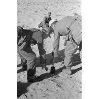 Pose des mines bondissantes et des fils déclencheurs les reliant.