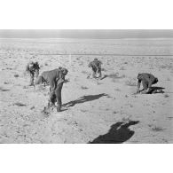 Des soldats creusent des trous pour y déposer des mines antipersonnel.