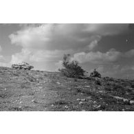 Un blindé SdKfz-231 et une moto passent la crête d'une colline près d'un arbuste.