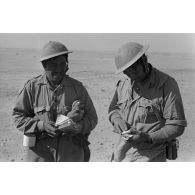 Des prisonniers sont fouillés par des soldats allemands près d'un chasseur de char Panzerjäger (Pz-jaeger-I).