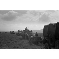 Colonne de véhicules américains capturés et utilisés par la 10e division blindée allemande, half-tracks (APC M2), jeep.<br>