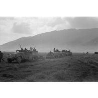 Colonne de véhicules américains capturés et utilisés par la 10e division blindée allemande, half-tracks (APC M2), jeep.<br>