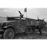 Un half-track (APC M2) avec leur nouvel équipage allemand.