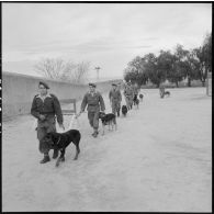 Dressage de chiens par leurs maîtres-chiens au 31e Groupe vétérinaire (GV) à Mostaganem.