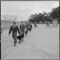 Dressage de chiens par leurs maîtres-chiens au 31e Groupe vétérinaire (GV) à Mostaganem.