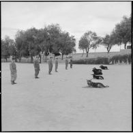 Dressage de chiens par leurs maîtres-chiens au 31e Groupe vétérinaire (GV) à Mostaganem.