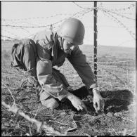 Pose de mines à la frontière algéro-marocaine.