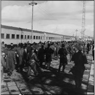 La remise de prisonniers égyptiens aux forces de police de l'ONU à Port-Saïd.