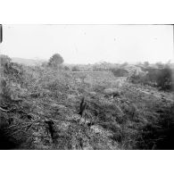 280. [Scène de chantier à Madagascar, 1900-1902.]