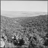 Djebel Nador. Opération de contrôle de la demi-brigade des fusiliers marins (DBFM).