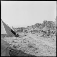 Les tentes du centre de regroupement de Taher El Achouet.