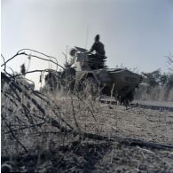 Engin blindé de reconnaissance Ferret MK 2/3 dans la brousse au Tchad.