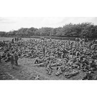 Prisonniers canadiens et anglais, peu après le débarquement et le raid de Dieppe (opération Jubilee).