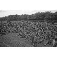 Prisonniers canadiens et anglais, peu après le débarquement et le raid de Dieppe (opération Jubilee).