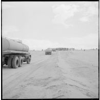 Touggourt. Convoi de véhicules Berliet.