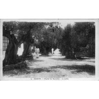 4. Bizerte. Hôpital du Karoubier. Le Jardin. [légende d'origine]