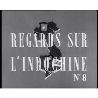 Regards sur l'Indochine n°8.