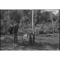 [Opération Gaur en Indochine, janvier-mars 1946. Populations Moïs.]