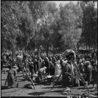 Marché de Lamartine (Algérie).