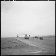 Région de Frenda. Les hélicoptères Sikorsky H-34 prêts à décoller.