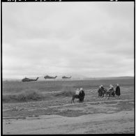 Région de Frenda. Des hélicoptères Sikorsky H-34 atterrissent dans un champ à côté de villageois.