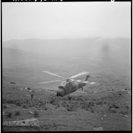 Région de Frenda. Hélicoptère Sikorsky H-34.