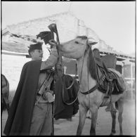 Ponteba. Le caporal classe 57 1/A prépare l'harnachement de son cheval pour le départ.