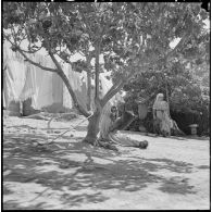 Centre de regroupement des environs de Mascara. Femmes s'occupant des corvées.