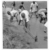 République du Niger, 1970. Animation rurale.