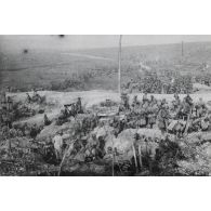 692. Somme. Bois 2 du Nord. Réserves. 15 sep[tembre 1916]. 8 h. [légende d'origine]