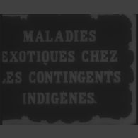 Maladies exotiques chez les contingents indigènes.