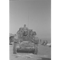 Un char léger Stuart M5A1 du 1er ou du 2e escadron de reconnaissance du 4e régiment de spahis marocains (4e RSM) passe le col de Teghime.