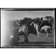 Sarigol. Cavalerie indoue. [légende d'origine]