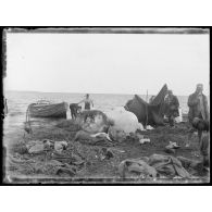 Bas Vardar. Installation d'un petit port d'embarquement pour transférer les débris du Zeppelin. [légende d'origine]