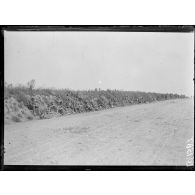 Route de Bouzincourt à Albert, cyclistes anglais. [légende d'origine]