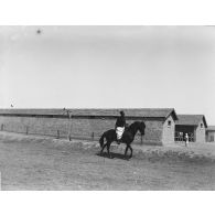 889. [Algérie, 1905-1914. Militaire, peut-être de la compagnie saharienne de la Saoura, à cheval.]