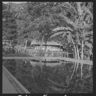 Jardin et fare (logement traditionnel) de l'hôtel Maravia.