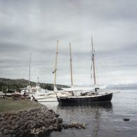 Voiliers au port à Tahiti. En arrière-plan, l'île de Moorea.